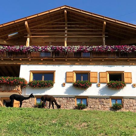 B&B Belvedere Daiano Luaran gambar