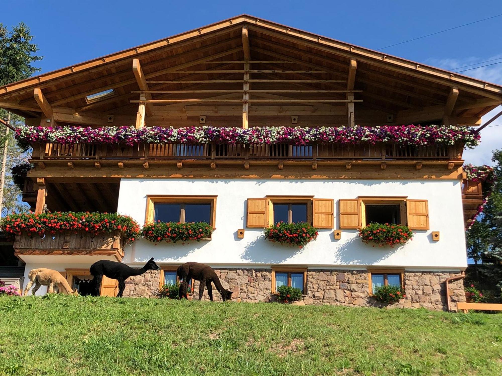 B&B Belvedere Daiano Luaran gambar